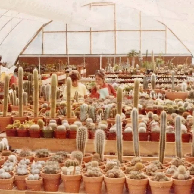 A Greenhouse Odyssey — Cactus & Tropicals